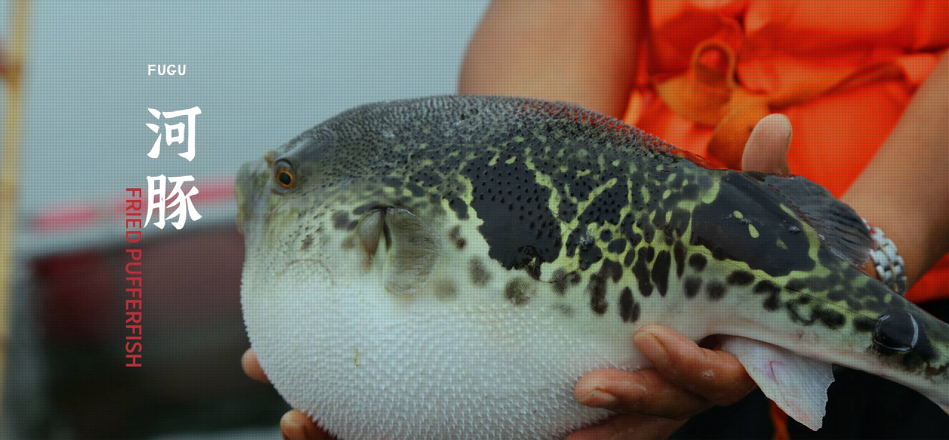 玛雅吧·maya(中国区)官方网站