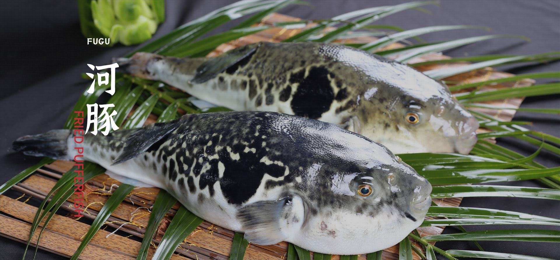 玛雅吧·maya(中国区)官方网站